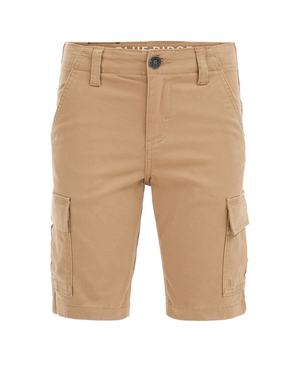 WE Fashion WE Fashion Панталон  светлокафяво