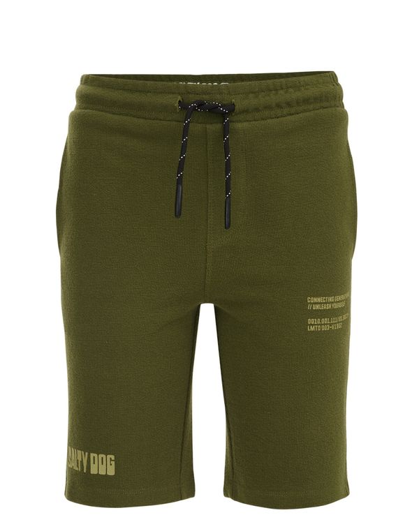 WE Fashion WE Fashion Панталон  светлозелено / тъмнозелено