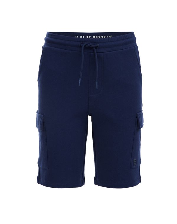 WE Fashion WE Fashion Панталон  тъмносиньо