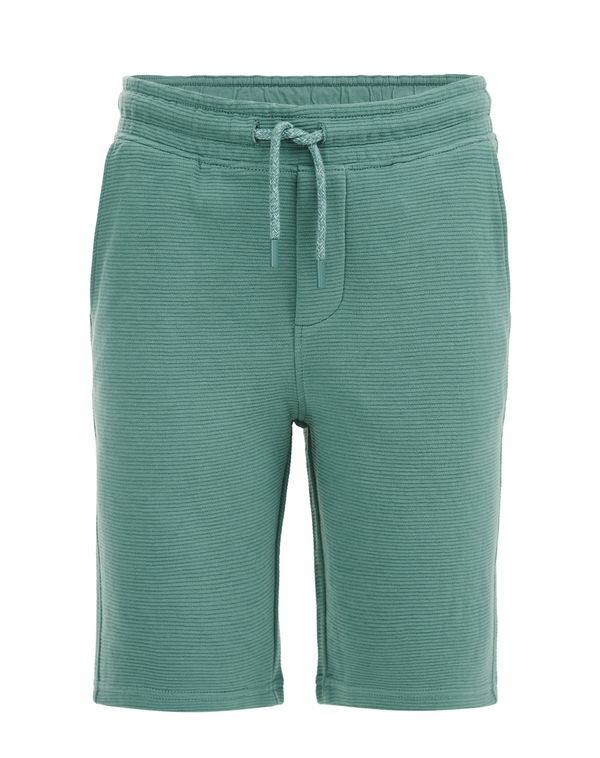 WE Fashion WE Fashion Панталон  зелено