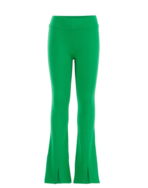 WE Fashion WE Fashion Панталон  зелено