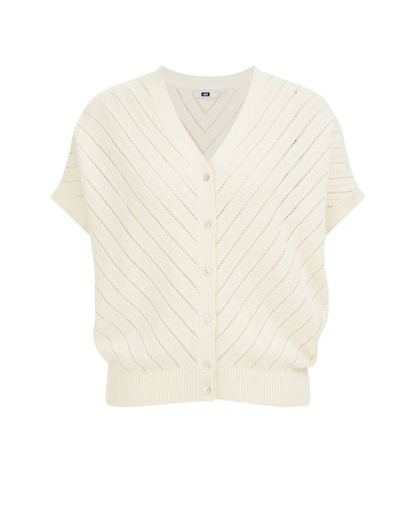 WE Fashion WE Fashion Плетена жилетка  мръсно бяло