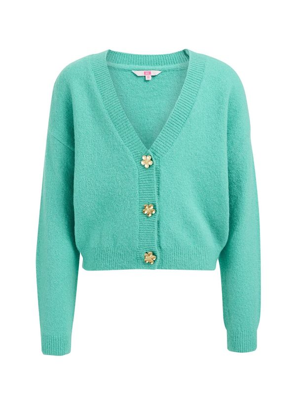 WE Fashion WE Fashion Плетена жилетка  нефритено зелено