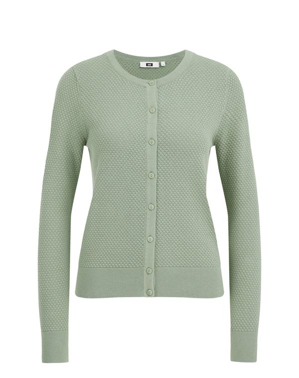 WE Fashion WE Fashion Плетена жилетка  пастелно зелено