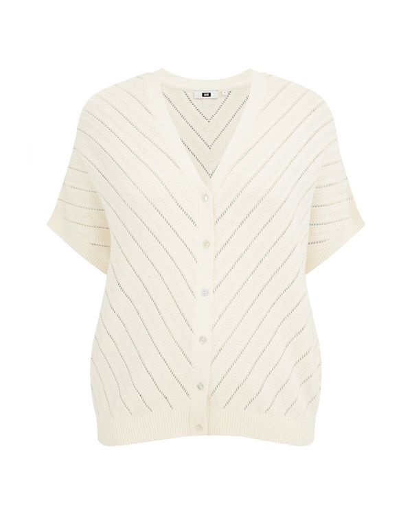 WE Fashion WE Fashion Плетена жилетка  слонова кост