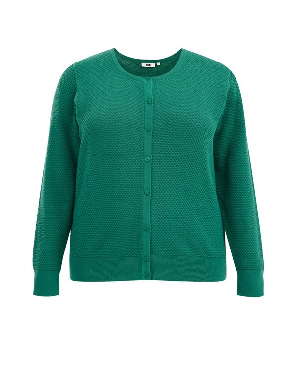 WE Fashion WE Fashion Плетена жилетка  зелено