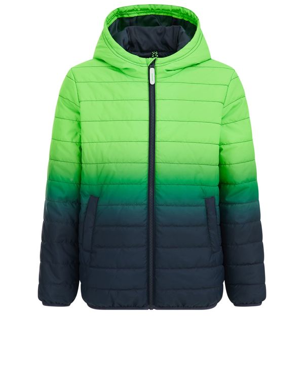 WE Fashion WE Fashion Преходно яке  зелено / елхово зелено