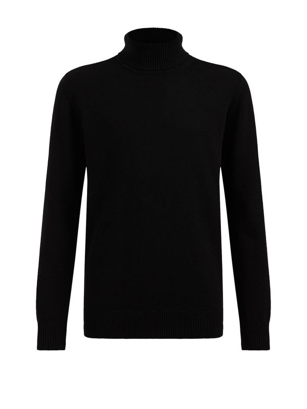 WE Fashion WE Fashion Пуловер  черно