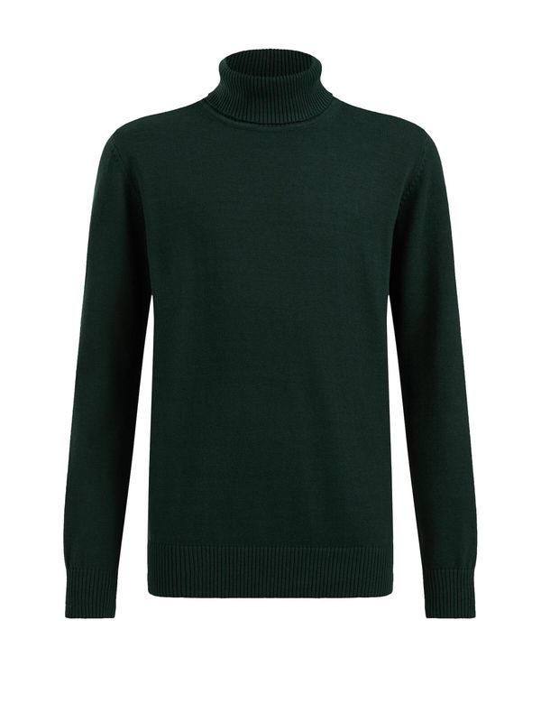 WE Fashion WE Fashion Пуловер  елхово зелено
