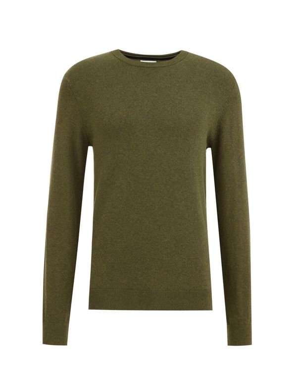 WE Fashion WE Fashion Пуловер  маслина