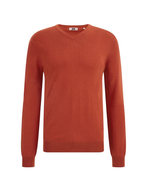 WE Fashion WE Fashion Пуловер  ръждиво кафяво