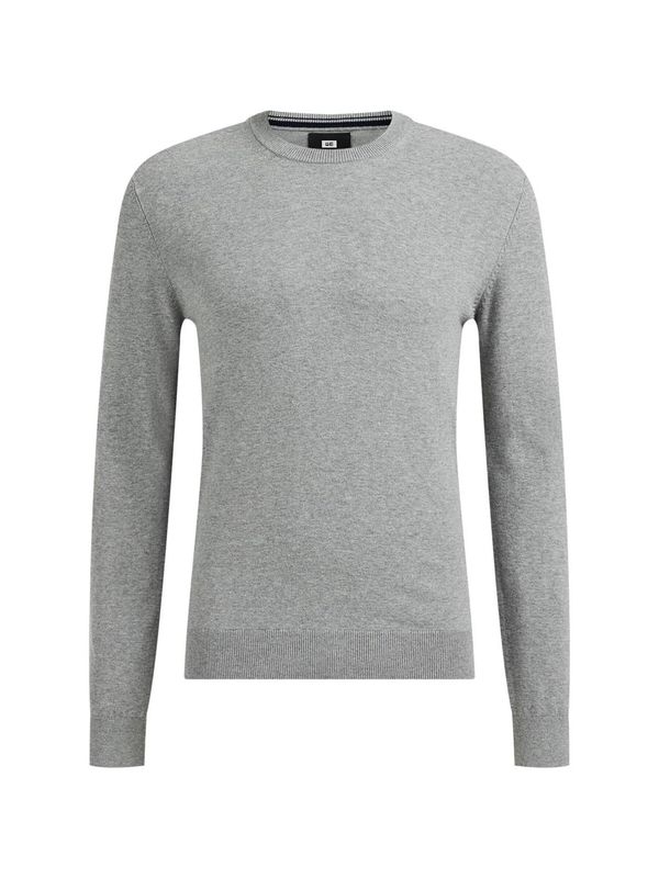 WE Fashion WE Fashion Пуловер  светлосиво