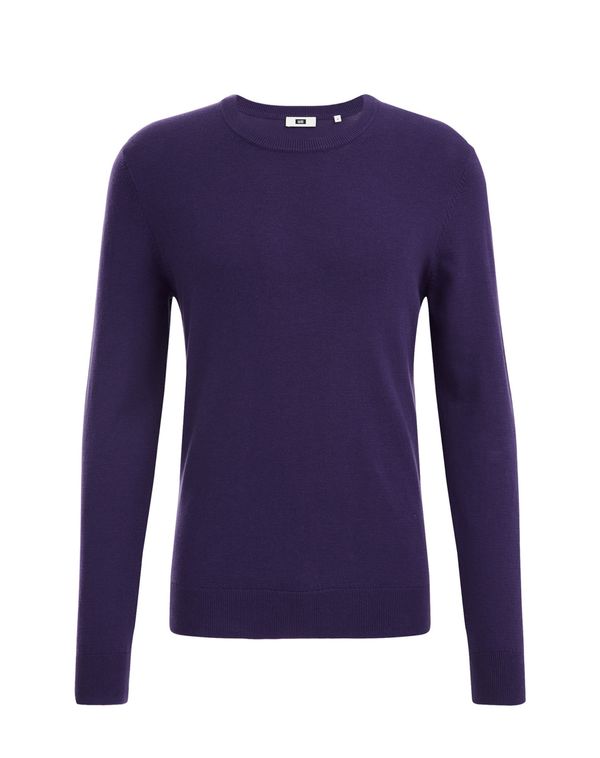 WE Fashion WE Fashion Пуловер  тъмнолилаво