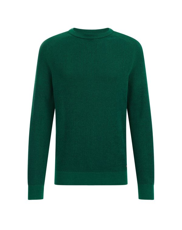 WE Fashion WE Fashion Пуловер  тъмнозелено