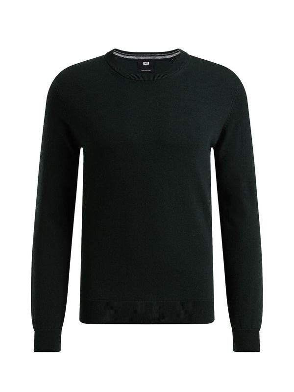 WE Fashion WE Fashion Пуловер  тъмнозелено