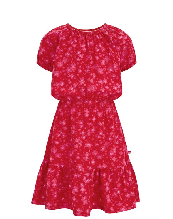 WE Fashion WE Fashion Рокля  червено