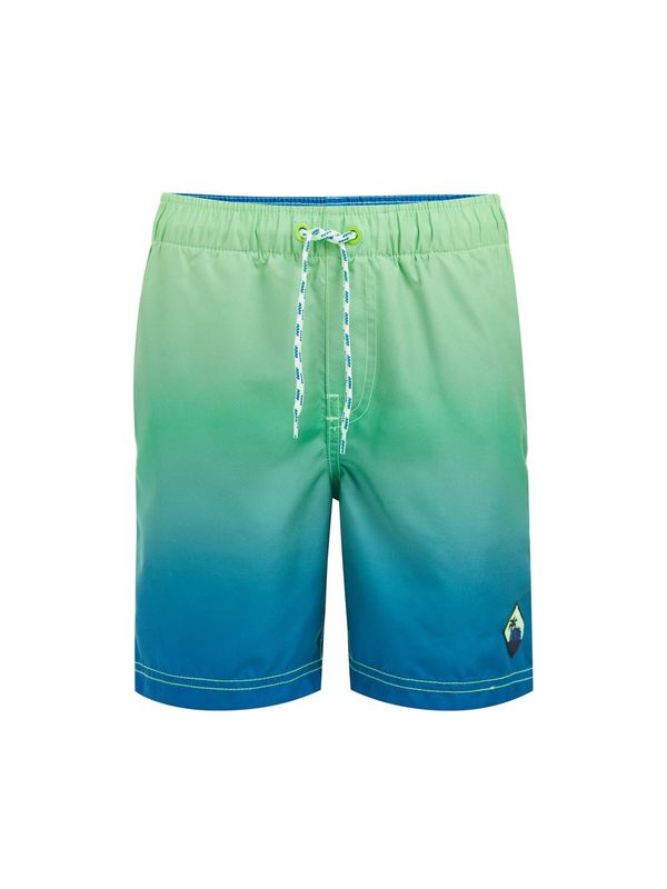 WE Fashion WE Fashion Шорти за плуване  синьо / светлозелено