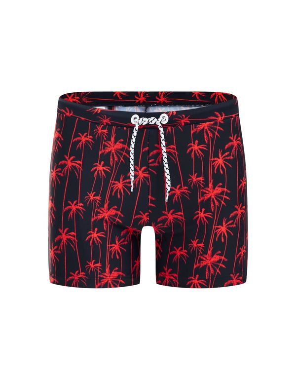 WE Fashion WE Fashion Шорти за плуване  тъмносиньо / червено / бяло