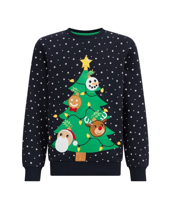 WE Fashion WE Fashion Суичър  нощно синьо / кафяво / жълто / зелено