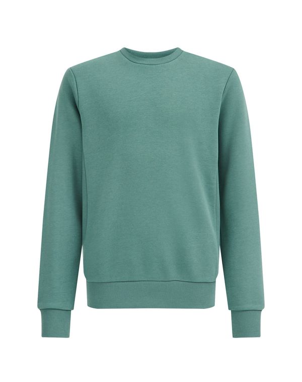 WE Fashion WE Fashion Суичър  смарагдово зелено