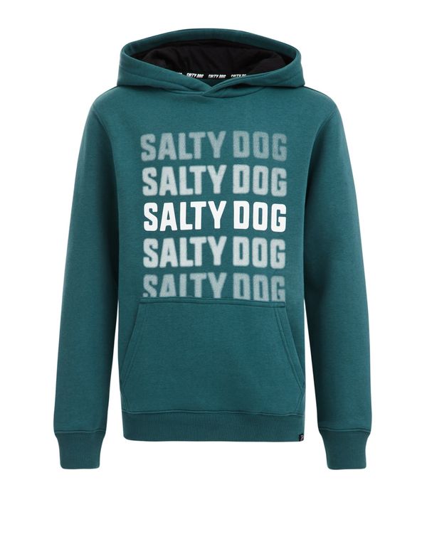 WE Fashion WE Fashion Суичър  зелено / бяло