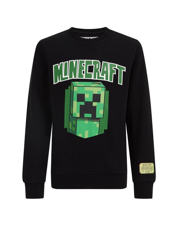 WE Fashion WE Fashion Суичър  зелено / черно