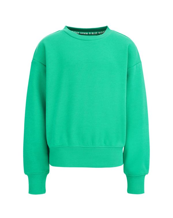 WE Fashion WE Fashion Суичър  зелено