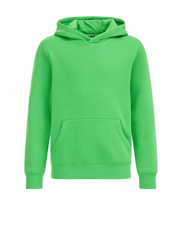 WE Fashion WE Fashion Суичър  зелено