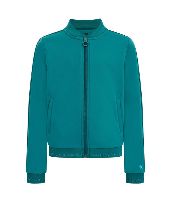 WE Fashion WE Fashion Суичъри с качулка  зелено / нефритено зелено