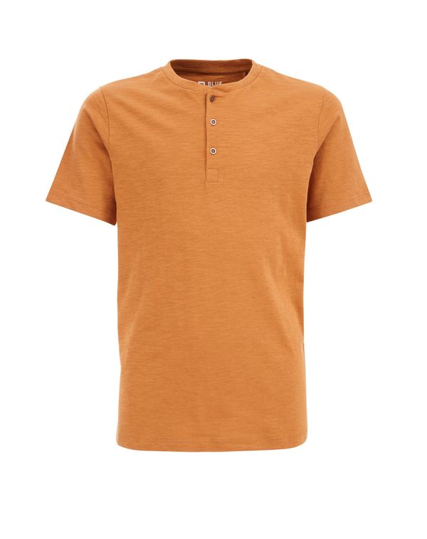 WE Fashion WE Fashion Тениска  кафяв меланж