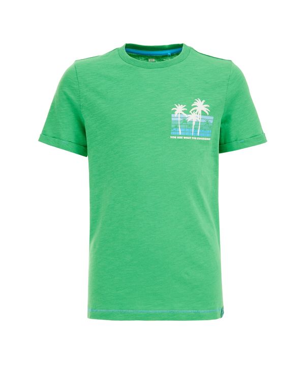 WE Fashion WE Fashion Тениска  синьо / зелено / бяло