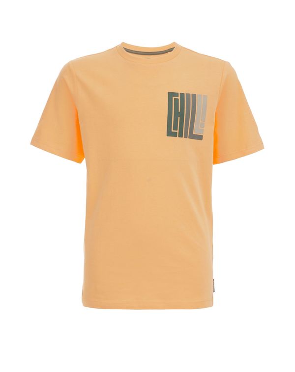 WE Fashion WE Fashion Тениска  сиво / тъмнозелено / оранжево