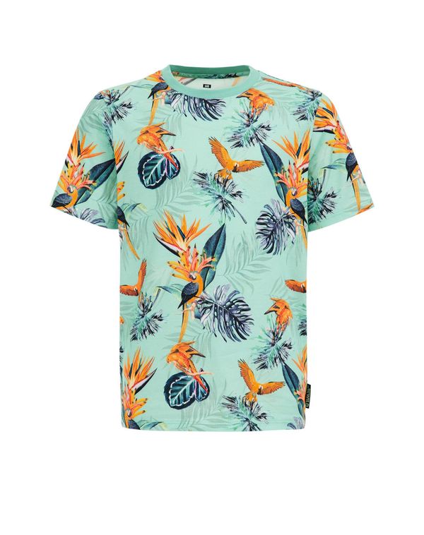 WE Fashion WE Fashion Тениска  светлозелено / пъстро