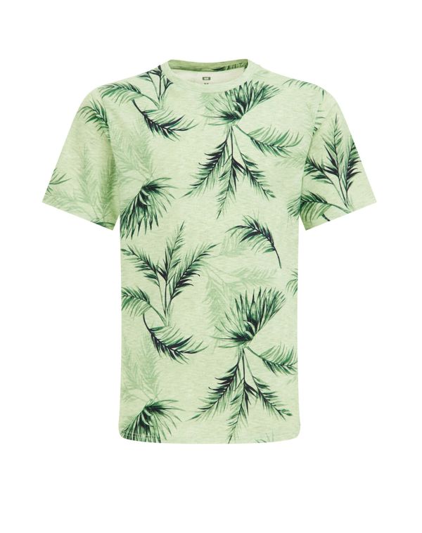 WE Fashion WE Fashion Тениска  светлозелено / тъмнозелено