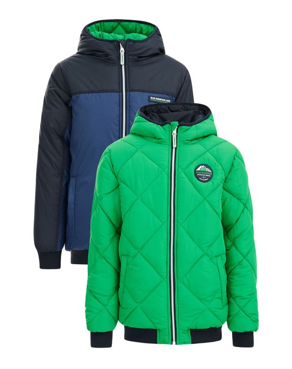 WE Fashion WE Fashion Зимно яке  морскосиньо / тъмносиньо / тревнозелено