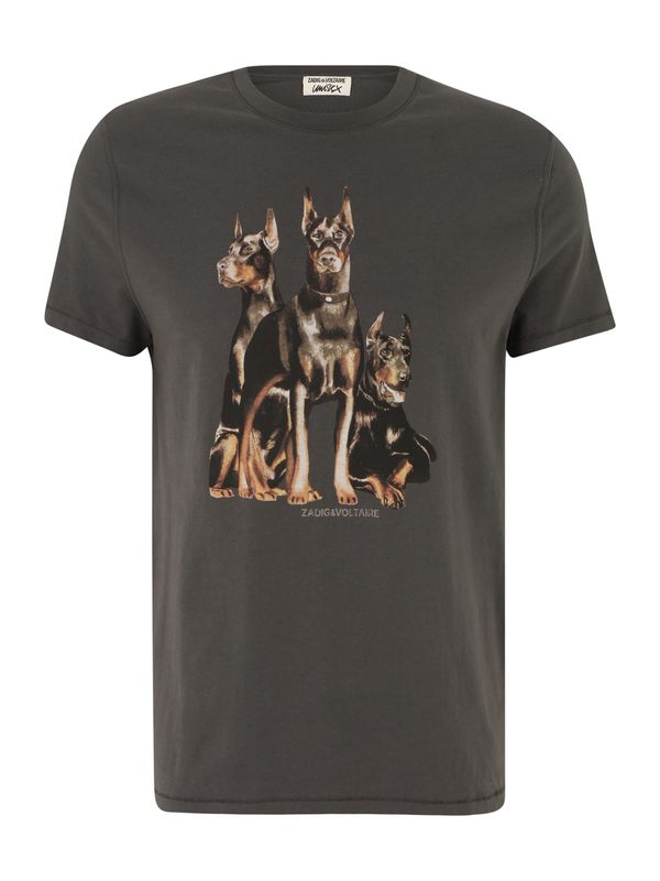 Zadig & Voltaire Zadig & Voltaire Тениска 'JIMMY'  сиво-кафяво