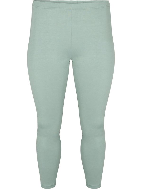 Zizzi Zizzi Клин  мента