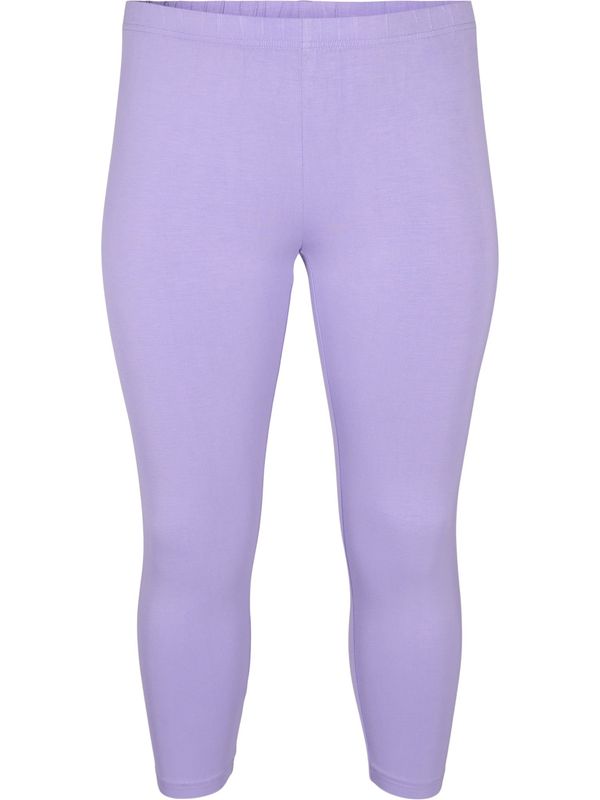 Zizzi Zizzi Клин  светлолилаво