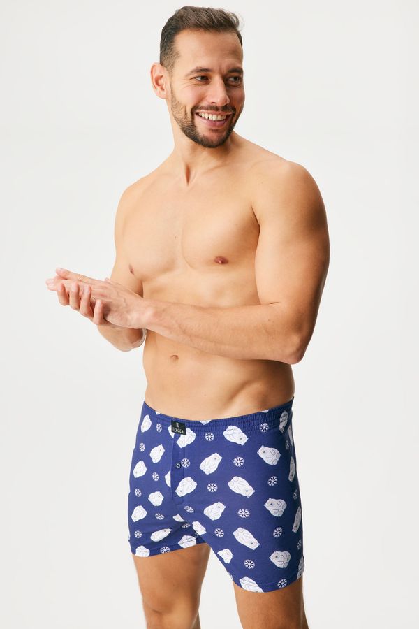 Lonka Памучни шорти Karlos Medvědi