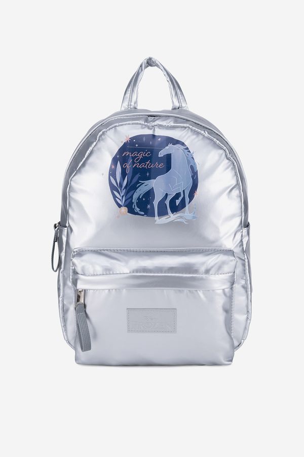 Frozen Раница Frozen СРЕБРИСТ