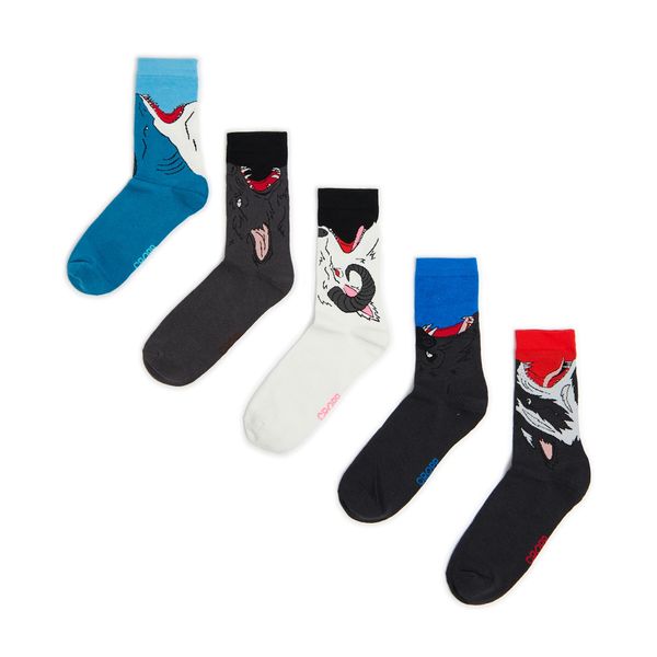 Cropp Cropp - Чорапи, 5 чифта3 - многоцветен