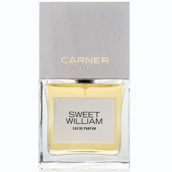 Carner Barcelona CARNER BARCELONA Sweet William