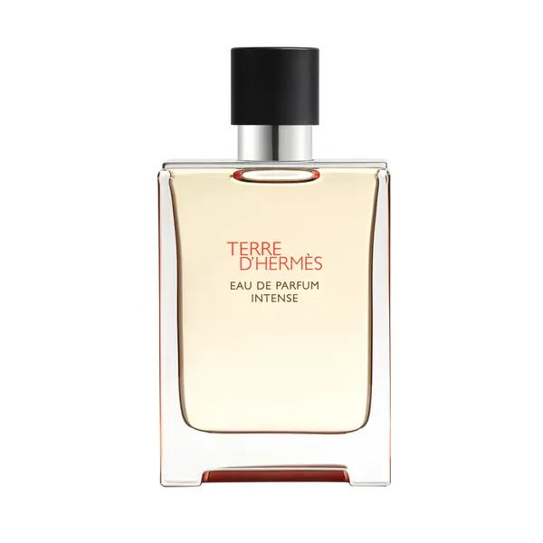Hermès HERMES Terre d'Hermes Eau de Parfum Intense