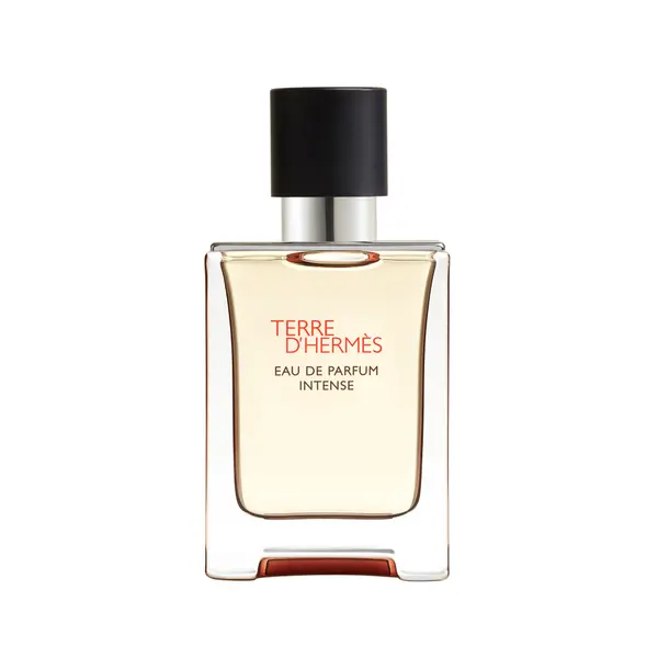 Hermès HERMES Terre d'Hermes Eau de Parfum Intense