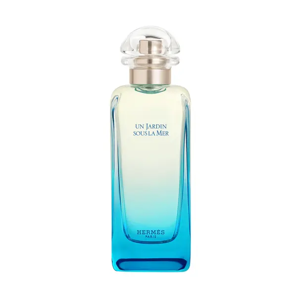 Hermès HERMÈS Un Jardin Sous La Mer