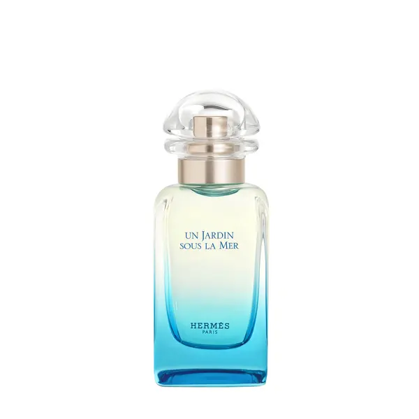 Hermès HERMÈS Un Jardin Sous La Mer