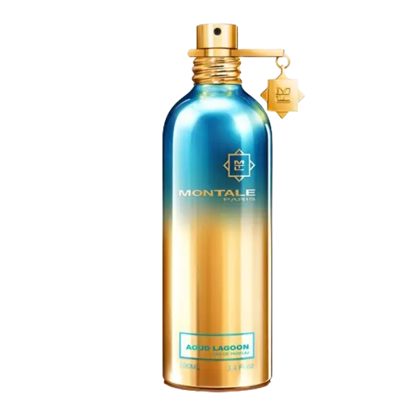 Montale MONTALE Aoud Lagoon
