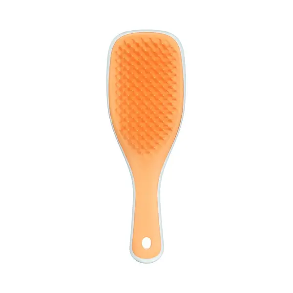 Tangle Teezer TANGLE TEEZER The Ultimate Detangler Mini Ice Blue & Sweet Orange