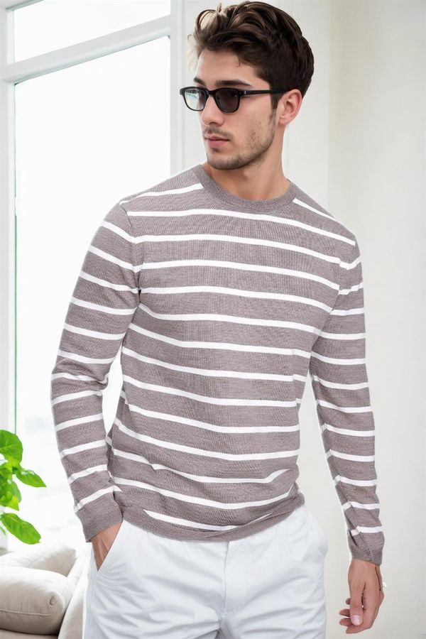 dewberry 99741 Dewberry Crew Neck Striped Casual Knitwear Sweater-VISION