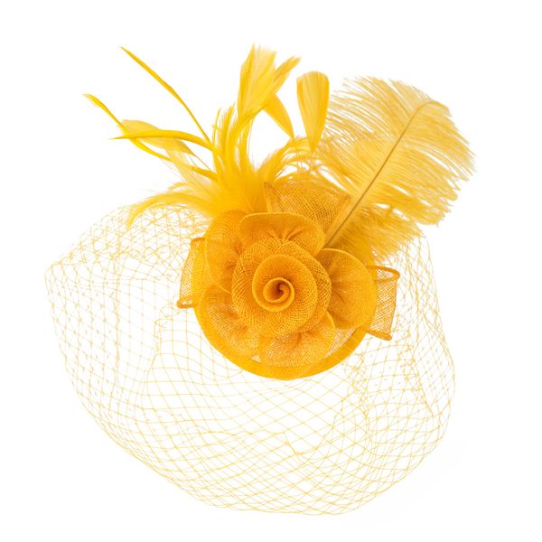 Art of Polo Art Of Polo Woman's Fascinator cz22175